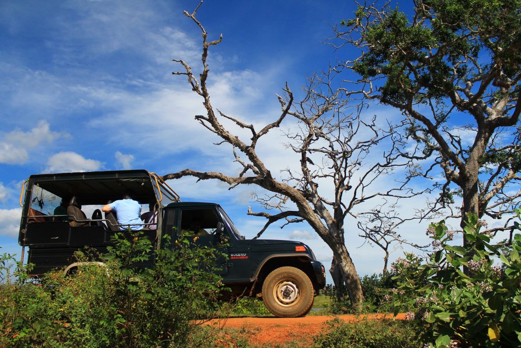 Национален Парк Яла / Yala National Park