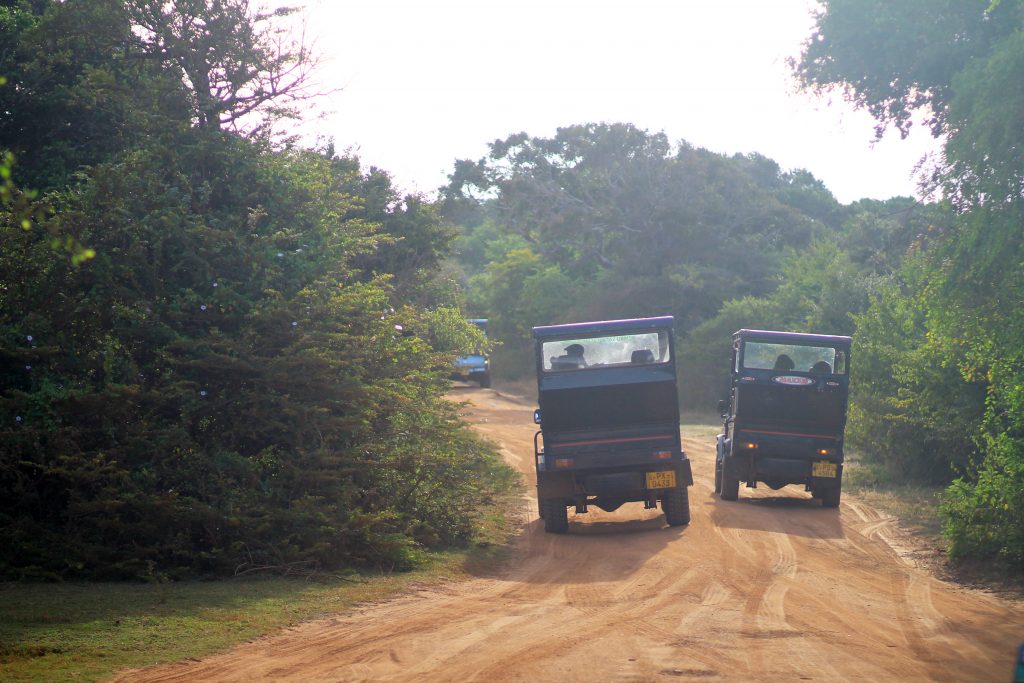 Национален Парк Яла / Yala National Park