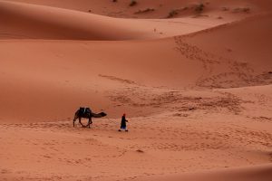 Сахара / Sahara Desert