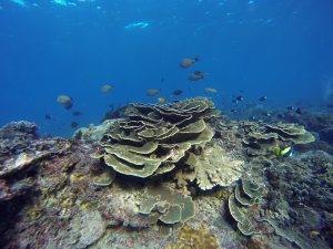 Bias Tugel Beach