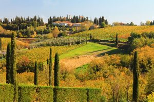 Тоскана / Tuscany